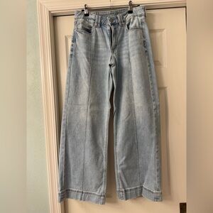 American Eagle Outfitters Blue Wide Leg Jeans